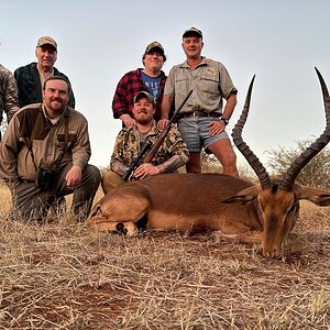 Impala Hunt South Africa