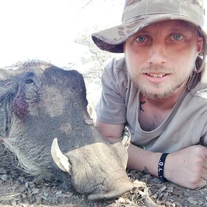 Hunting Warthog South Africa