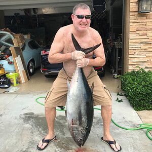 Bluefin Tuna Fishing