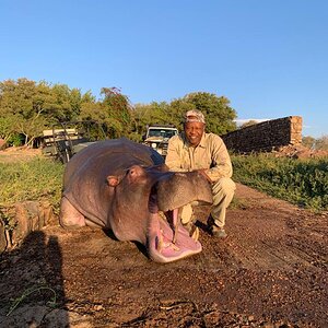 Hunting Hippo Zimbabwe