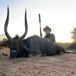 Nyala Hunting Limpopo South Africa