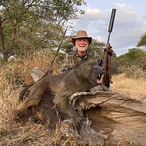 Baboon Hunting Limpopo South Africa