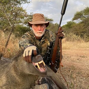 Baboon Hunting Limpopo South Africa