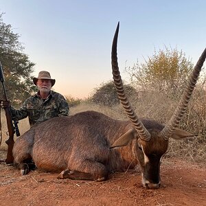 Waterbuck Hunting Limpopo South Africa
