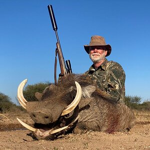 Warthog Hunting Limpopo South Africa