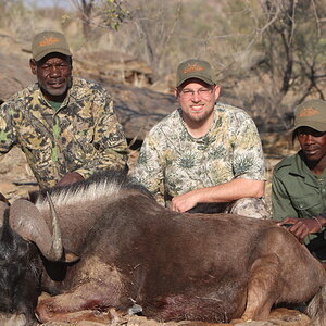 Black Wildebeest Hunt Khomas Highland Namibia