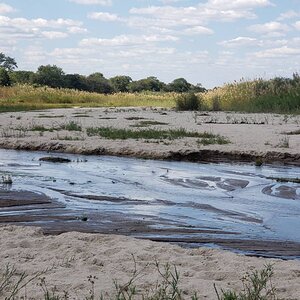 Mbarangandu River Tanzania