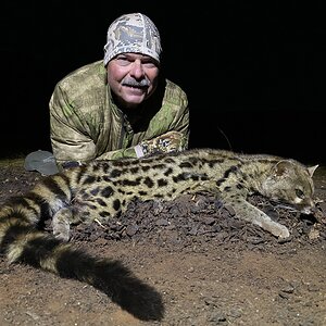 Genet Hunt Limpopo South Africa