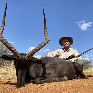 Black Impala Hunt Limpopo South Africa