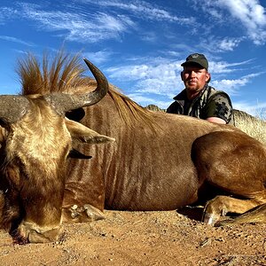 Golden Hartebeest Hunt South Africa