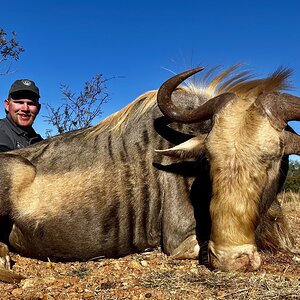 Kings Wildebeest Hunt South Africa