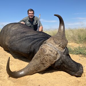 Cape Buffalo hunt South Africa