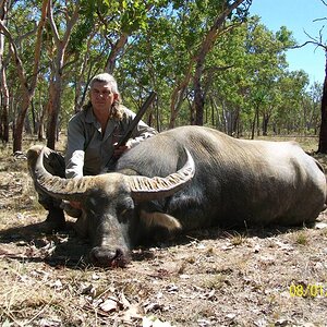 Asiatic Water Buffalo Hunt Australia