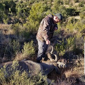 Kudu Hunt South Africa