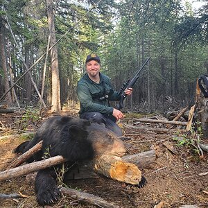 Black Bear Hunt