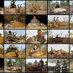 Hunting in Cameroon