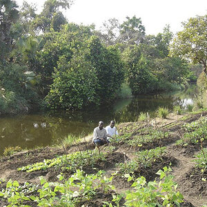 Veggie Garden At Camp Cameroon