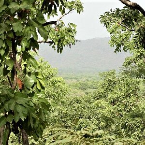 Nature Scene Cameroon