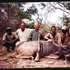 Greater Kudu Hunting