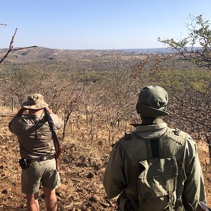 Tracking Elephant Zimbabwe