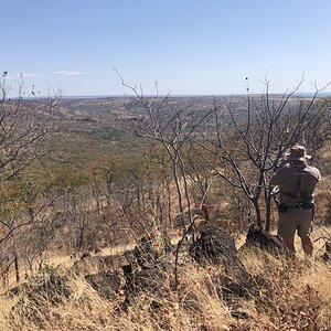 Glassing Elephant Zimbabwe