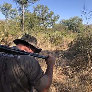 Tracking Elephant