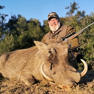 Hunting Warthog South Africa