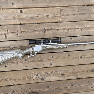 .375 Ruger Rifle