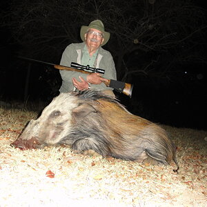 Bushpig Hunting