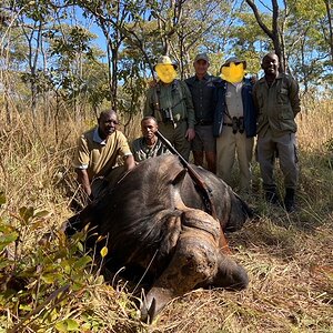 Buffalo Hunt Kruger Park South Africa