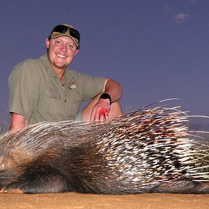 Porcupine Hunt South Africa