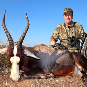 Blesbok Hunt Limpopo South Africa