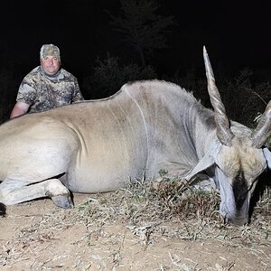 Eland Hunt Limpopo South Africa