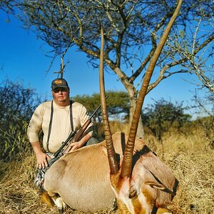 White / Golden Gemsbok Hunt Limpopo South Africa