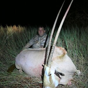 White Gemsbok Hunt Limpopo South Africa