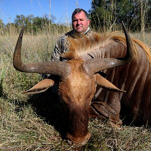 Golden Wildebeest Hunt Limpopo South Africa