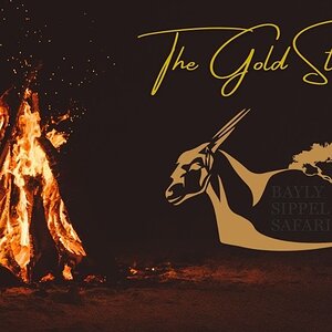 The Gold Standard With Bayly Sippel Safaris Hunting Africa