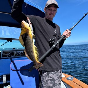 Rock Cod Fishing Gulf Islands Of British Columbia