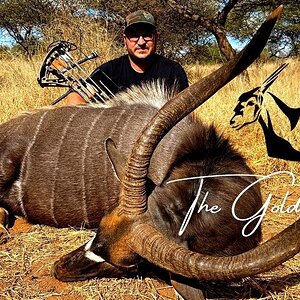 Nyala Bull Smoked With The Bow With BAYLY SIPPEL SAFARIS