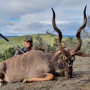 Kudu Hunting Eastern Cape South Africa