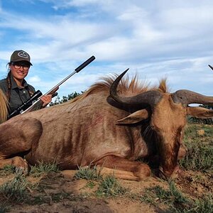 Golden Wildebeest Hunting Eastern Cape South Africa