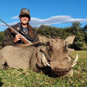 Warthog Hunting Eastern Cape South Africa