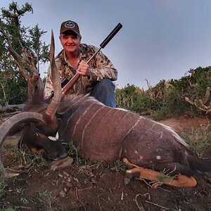 Abnormal Nyala Hunting Eastern Cape South Africa