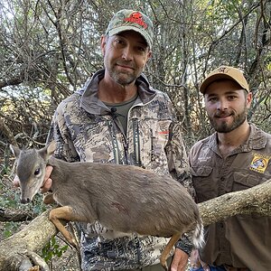 Blue Duiker Hunt Eastern Cape South Africa