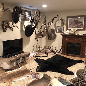 Trophy Room