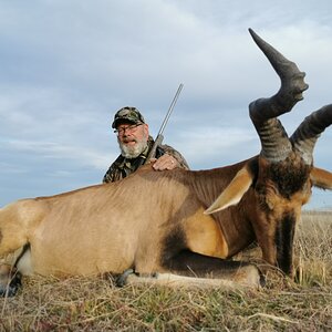 Hartebeest Hunting Eastern Cape South Africa