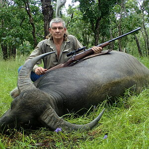 Asiatic Water Buffalo Hunt Australia