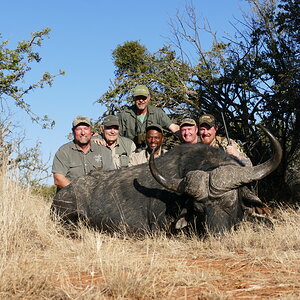 Buffalo Hunt Free State South Africa