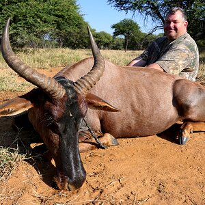 Tsessebe Hunt Limpopo South Africa