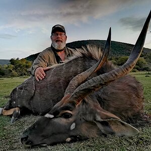 Nyala Hunting South Africa